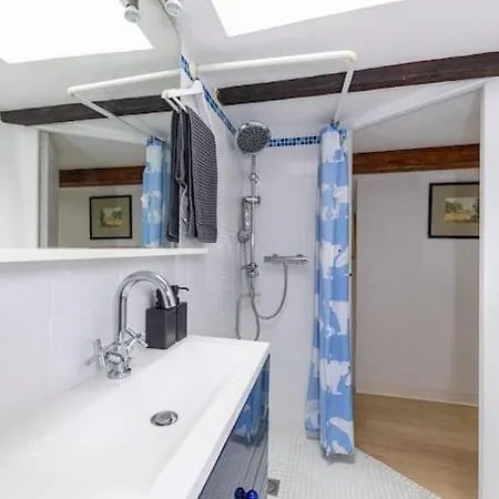 De Caractere T5 En Hypercentre Daire Toulouse