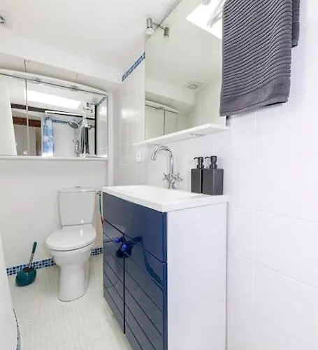 De Caractere T5 En Hypercentre Toulouse