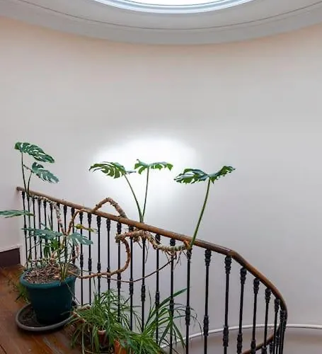 De Caractere T5 En Hypercentre Toulouse