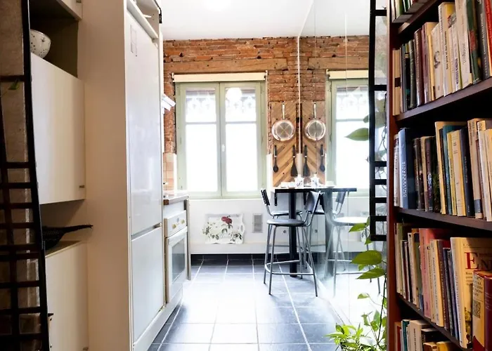 De Caractere T5 En Hypercentre Toulouse