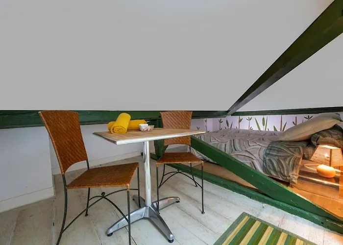 Apartament De Caractere T5 En Hypercentre Tuluza