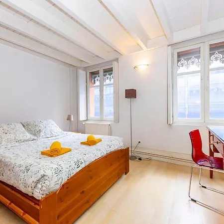 De Caractere T5 En Hypercentre Apartmán Toulouse